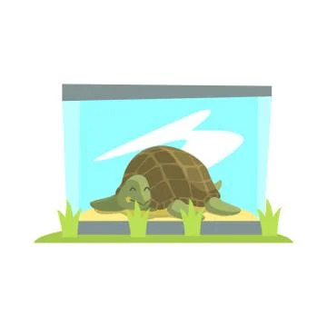 Big Green Turtle Laying Inside Glass Terrarium In Zoo Ilustración de archivo
