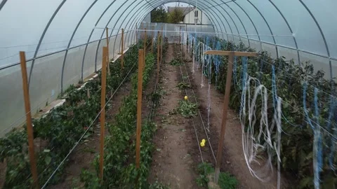 Big greenhouse Video stock 143527063