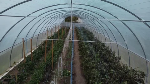 Big greenhouse Video stock 143527069