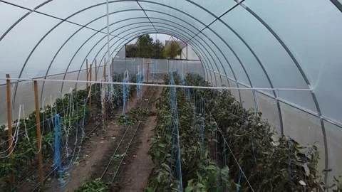Big greenhouse Video stock 143527086