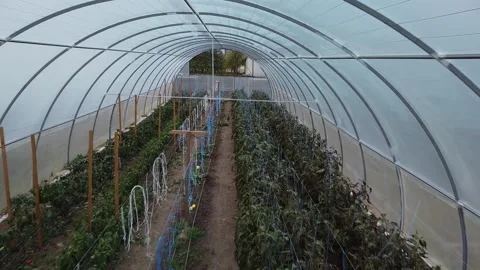 Big greenhouse Stock Footage 143527095
