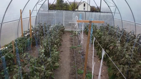 Big greenhouse Stock Footage 143527096