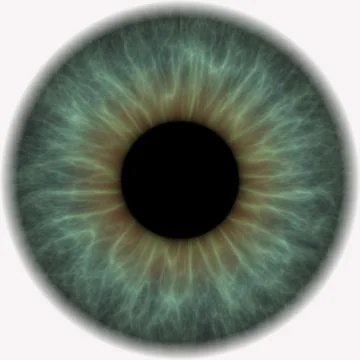 Big grey iris in eyeball Stock Illustration