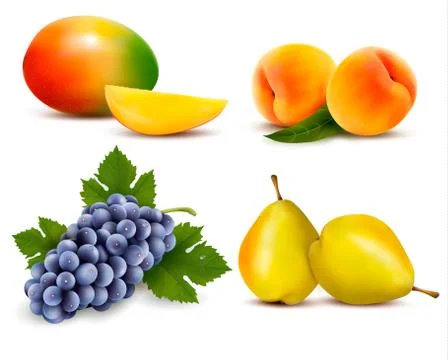 Big group of different fruit. vector. Stock Illustration