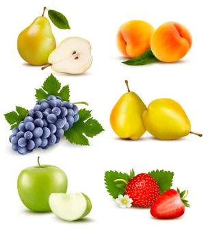 Big group of different fruit. vector. Stock Illustration