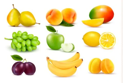 Big group of different fruit. vector. Stock Illustration