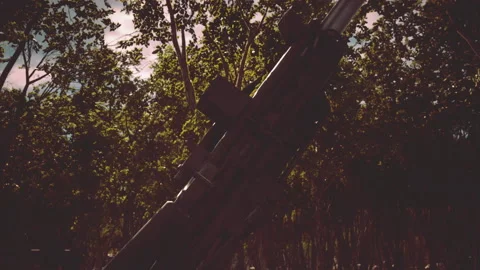 Big gun cannon in the forest Stock Footage 229412487