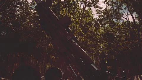 Big gun cannon in the forest Stock Illustration