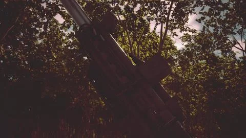 Big gun cannon in the forest Stock Illustration