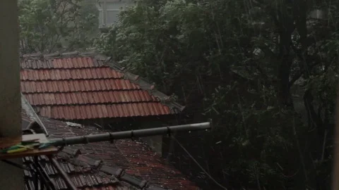 Big hail rain Video stock 77271999