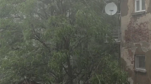 Big hail rain Video stock 77272777