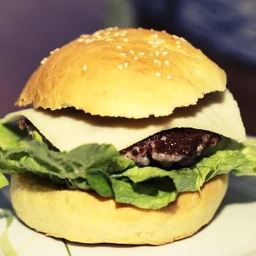 Big hamburger Fotos de archivo