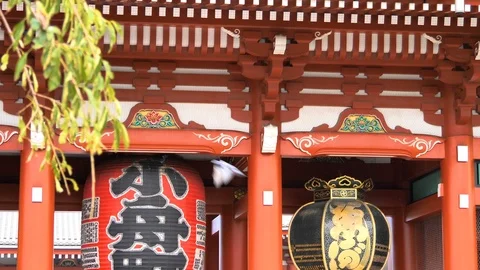 The big hanging lanterns infront of the Senso-ji Temple in Tokyo Japan Stock Footage 121423146