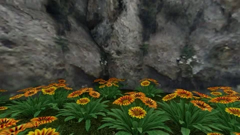 Big Hill and under Flower Tree Stock Footage 338341017
