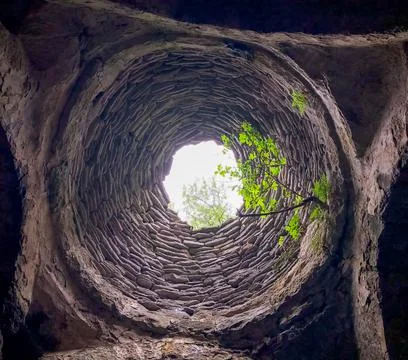 Big hole in the forest, tree in big hole Stock Photos