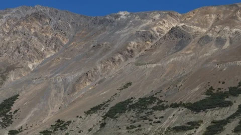 Big horn sheep herd on the side of a rocky mountain 8K time lapse Stock Footage 111366366