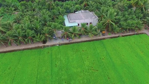 Big House With Big Pool On Tropical Island Stock Footage 72249776