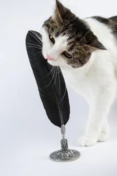 The big hunter Stock-Fotos