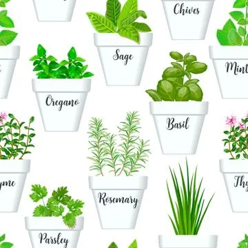 Big icon seamless pattern vector set of culinary herbs in white pots with lab Stock Illustration