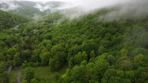 Big Indian 動画素材 154975236