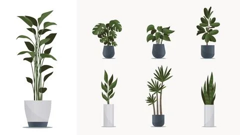 Big indoor plants pack. Elements for animation, design interiors, game Stock-Illustration