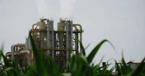 Big industry plant from the perspective of a corn field Stock Footage 91008831