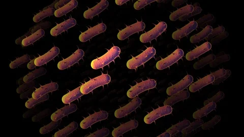 Big infectious bacteria animation Stock Footage 90226446