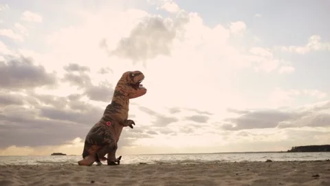 Big inflatable dinosaur with person inside is walking on sea beach at sunset. Stock Footage 142704314