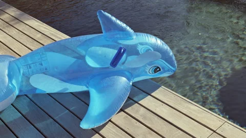 Inflatable Dolphin Stock Footage ~ Royalty Free Stock Videos | Pond5