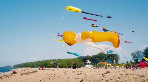 Big Inflatable Kites flying on the beach Stock Footage 53228451