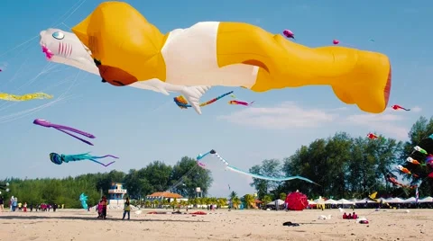 Big Inflatable Orange Bear and Shark Kites Flying on The Beach Stock Footage 53228941