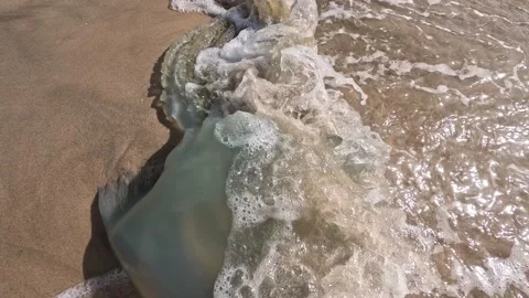 A big jellyfish 動画素材 239688787