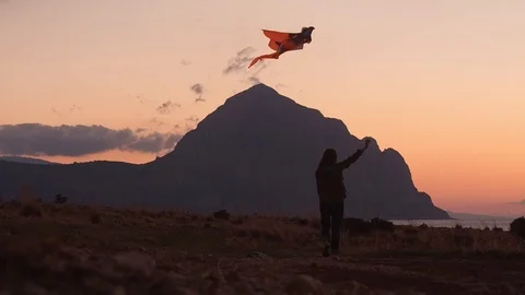 The big kite Stock Footage 97837886