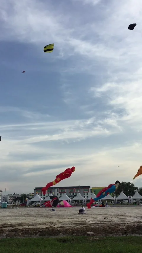 Big kites in the sky Stock Footage 198632766