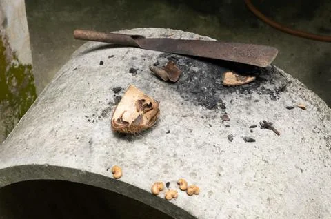 Big knife, coconut shell and raw cashew nut on cement tank. Stock Photos