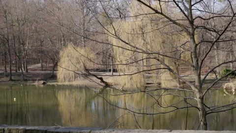 Big Lake in Central Park Stock Footage 304675136