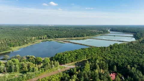 A big lake surrounded by a forest close to Warsaw, Poland Video stock 293141912