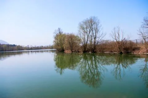 Big lake, tree trunks,branches with no leaves ,early spring countryside. Gree Foto stock