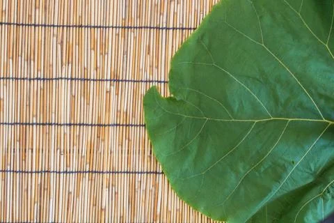Big leaf on bamboo blind background with space Stock Photos