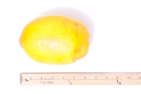 Big lemon Stock Photos