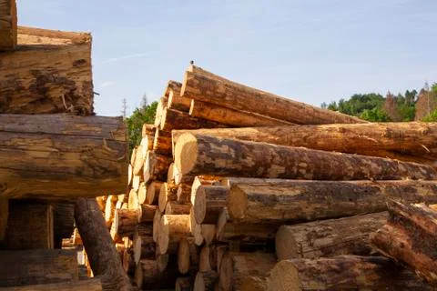Big logs Stock Photos