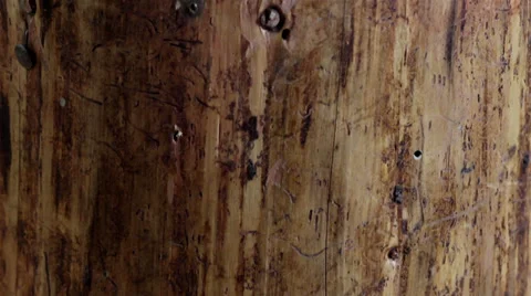 A big lumber with the axe on it Video stock 33643032