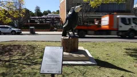 Big Magpie Statue Stock-Footage 249993139