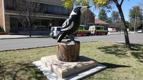 Big Magpie Statue Stock-Footage 249993158
