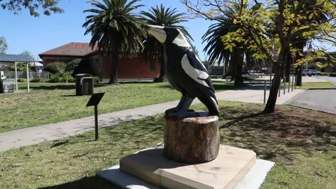 Big Magpie Statue Stock-Footage 249993162