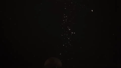Big mandarin slice splashing underwater in aquarium, water bubbles slow motion Stock Footage 259705440