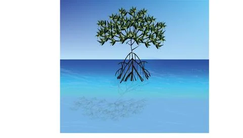 Big mangrove tree Stock Illustration