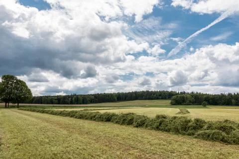 Big meadow with cut grass in the middle of the german countryside Stock Photos