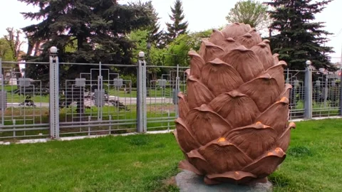 Big monument. Big cedar cone Stock Footage 242477936
