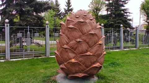 Big monument. Big cedar cone Stock Footage 242478062